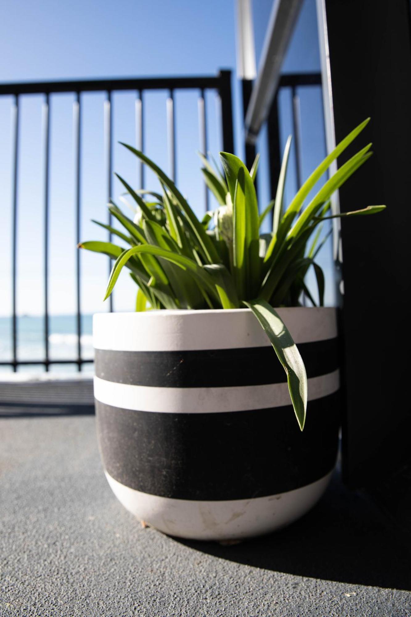 דנידין Petra Seaside Apartment מראה חיצוני תמונה